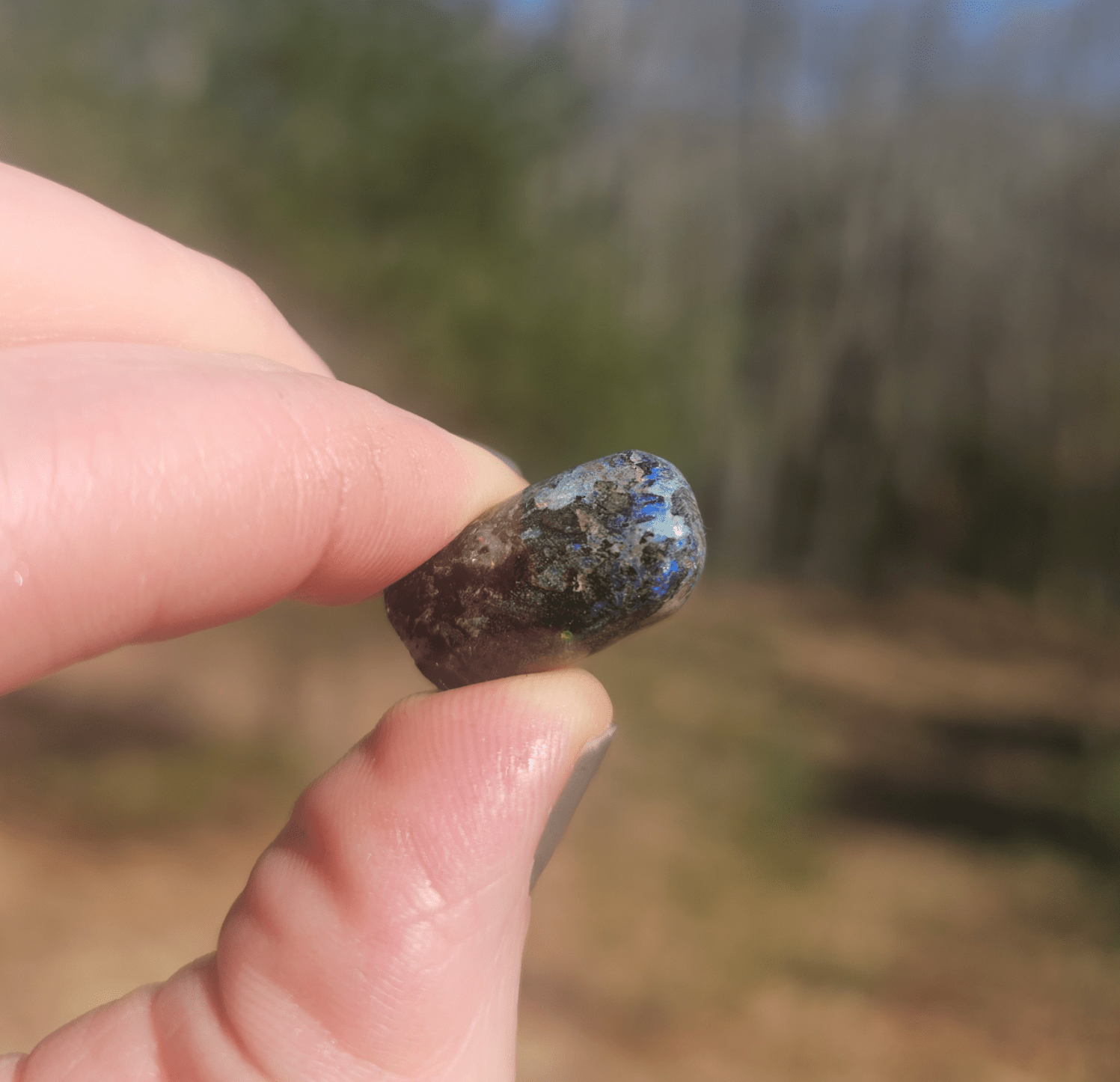 Opalized Petrified Branch PIECE. - EarthyElementStudio