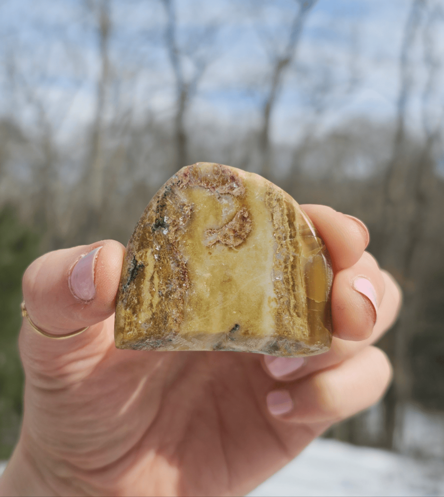 Blue Opalized Petrified Wood Slice. - EarthyElementStudio