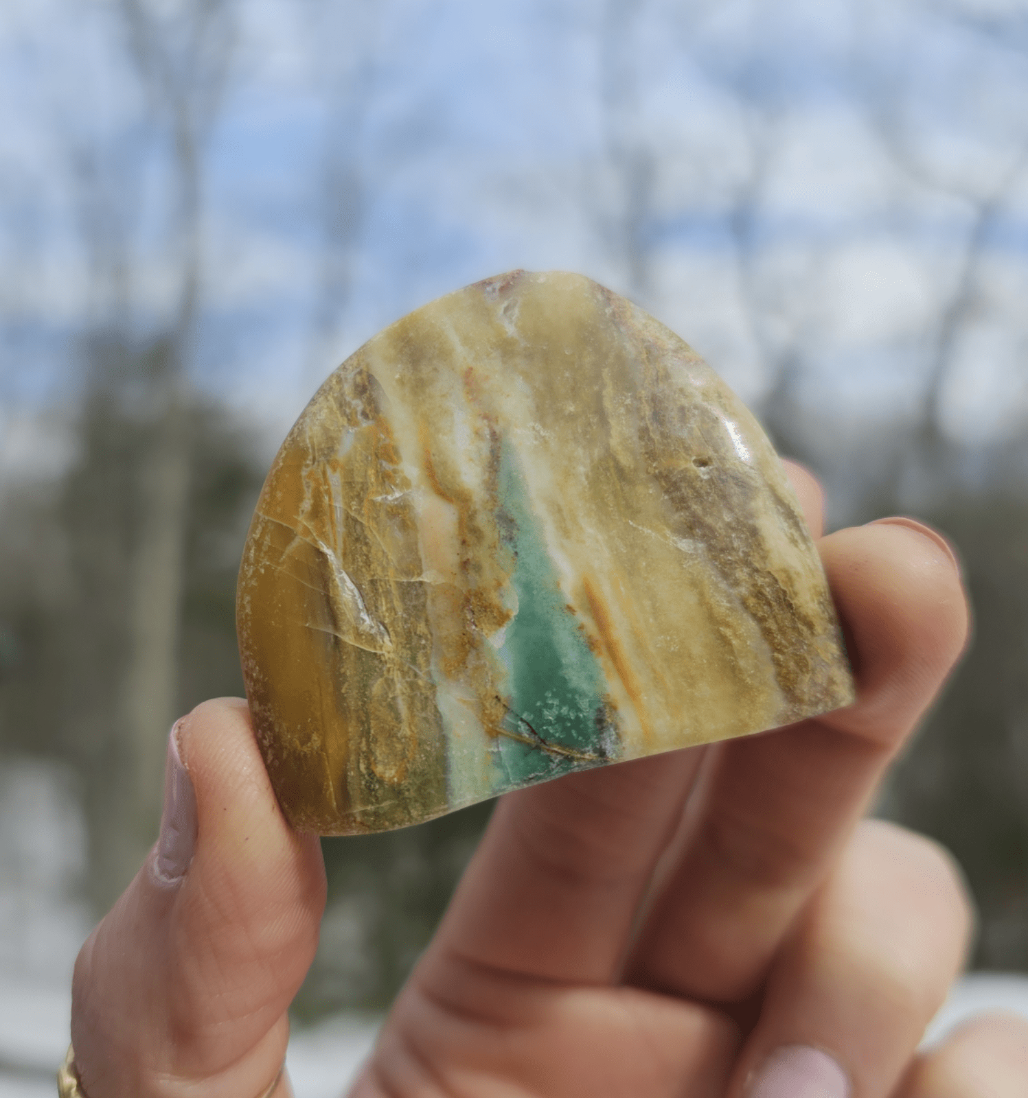 Blue Opalized Petrified Wood Slice. - EarthyElementStudio