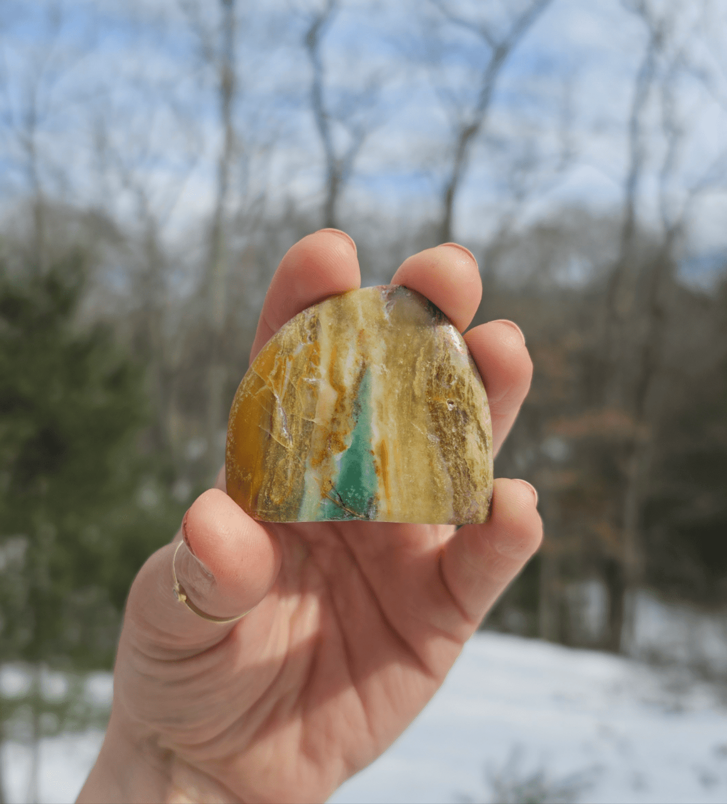 Blue Opalized Petrified Wood Slice. - EarthyElementStudio