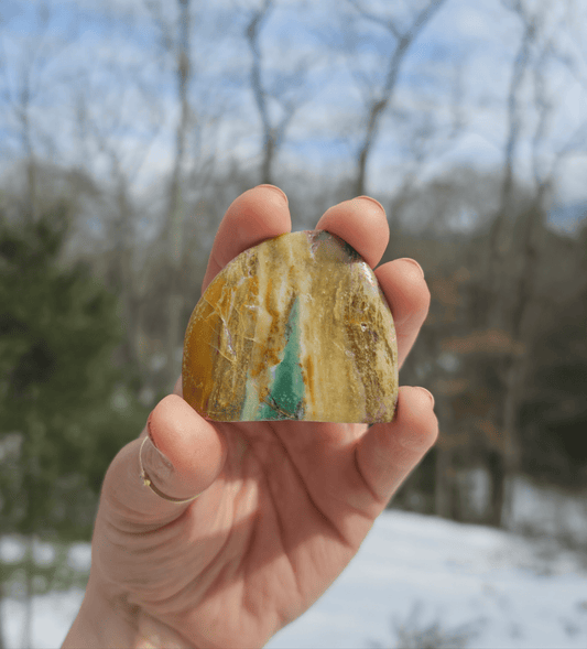 Blue Opalized Petrified Wood Slice. - EarthyElementStudio
