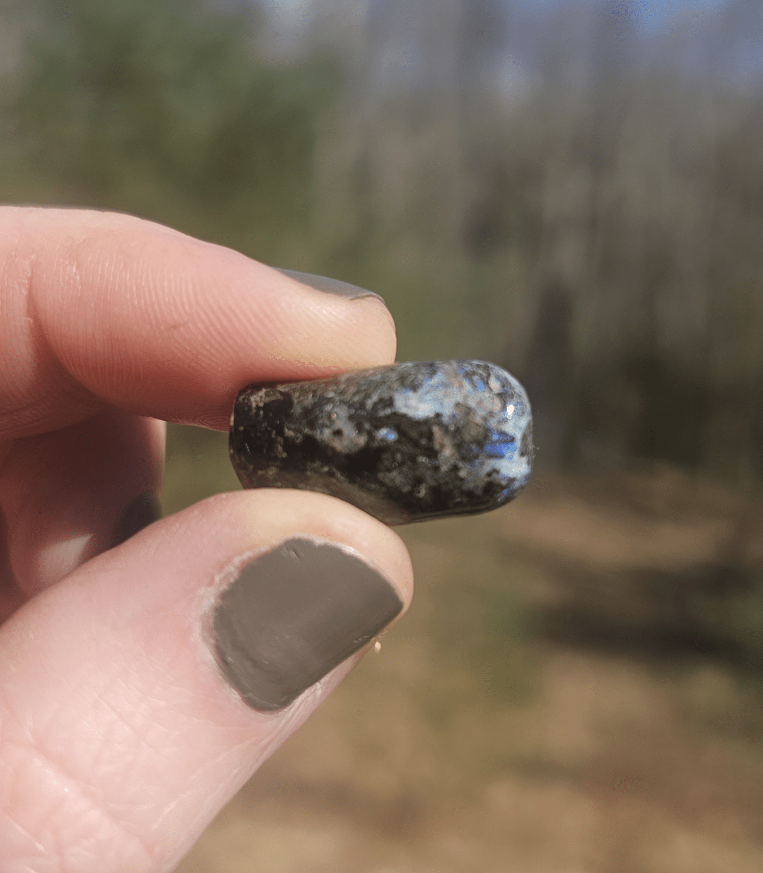 Opalized Petrified Branch PIECE. - EarthyElementStudio