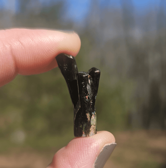 Opalized Petrified Branch PIECE. - EarthyElementStudio