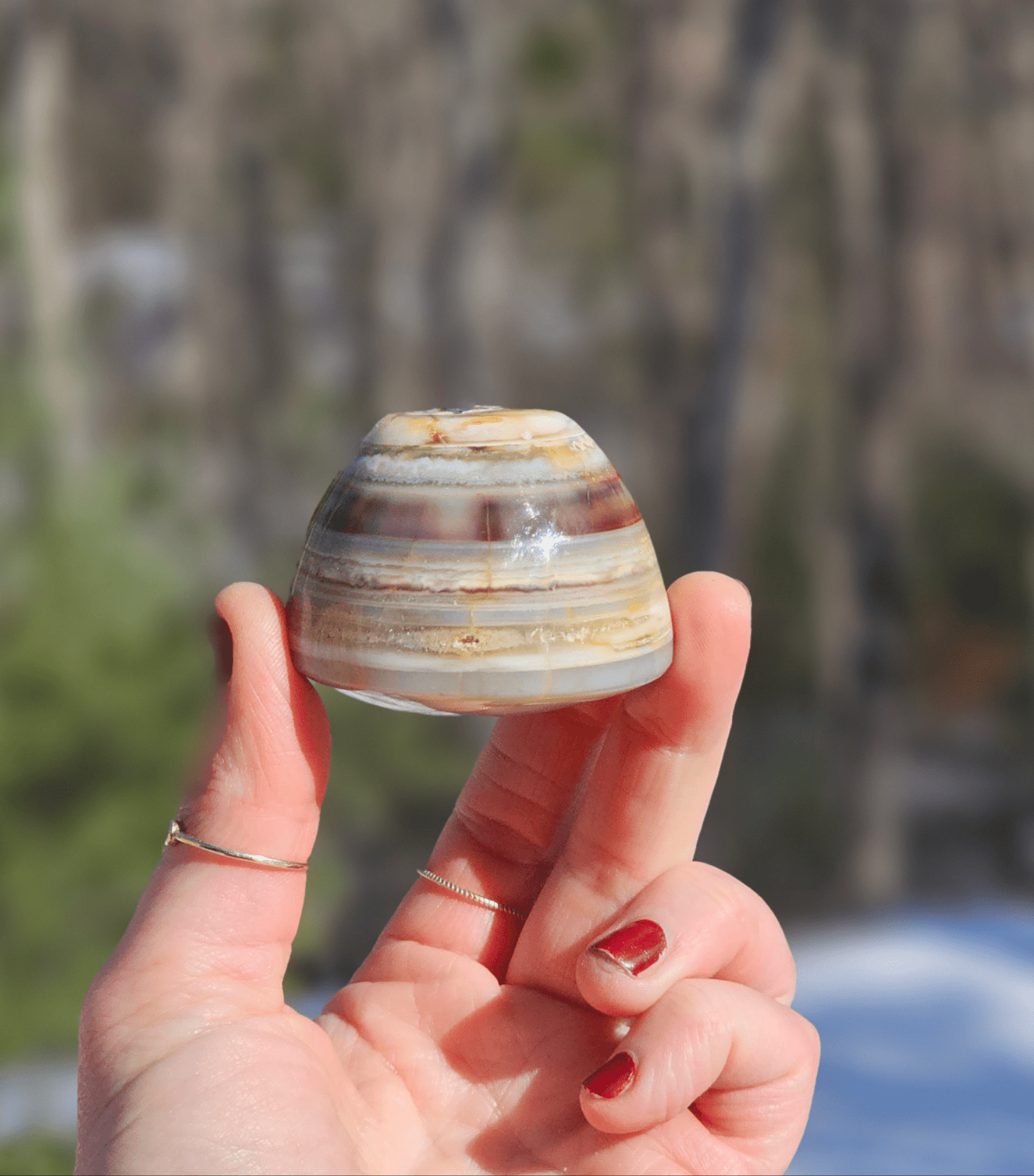 Large Sardonyx Agate. Eye of Shiva - EarthyElementStudio