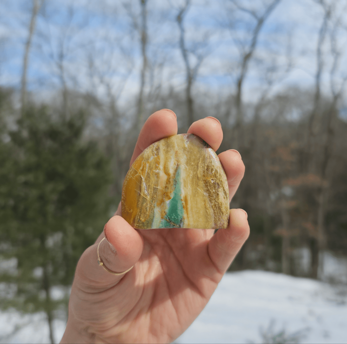 Blue Opalized Petrified Wood Slice. - EarthyElementStudio
