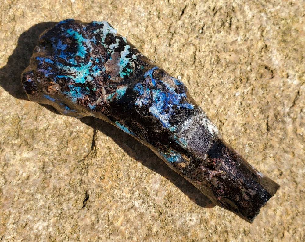 EXTRA LARGE Fossilized Opalized Branch Piece - EarthyElementStudio