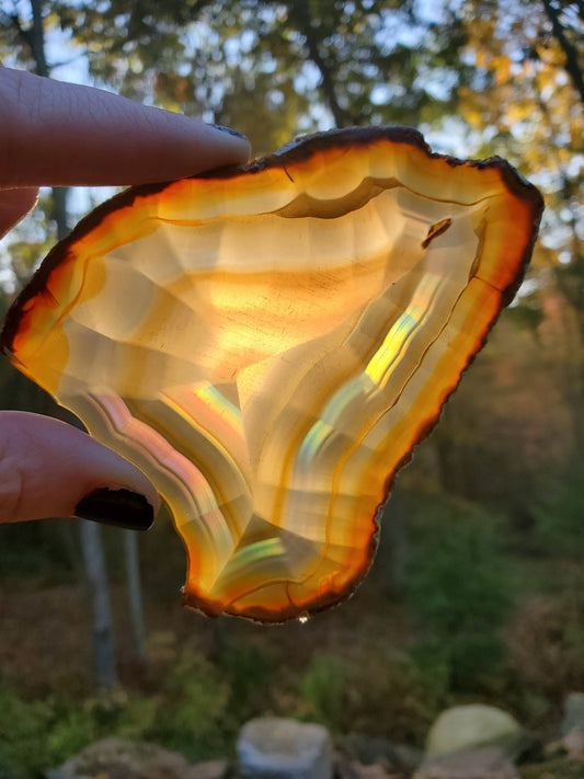 Gorgeous Dark Iris Agate Slice. IRIDESCENT Agate. MEDITATION Tool.