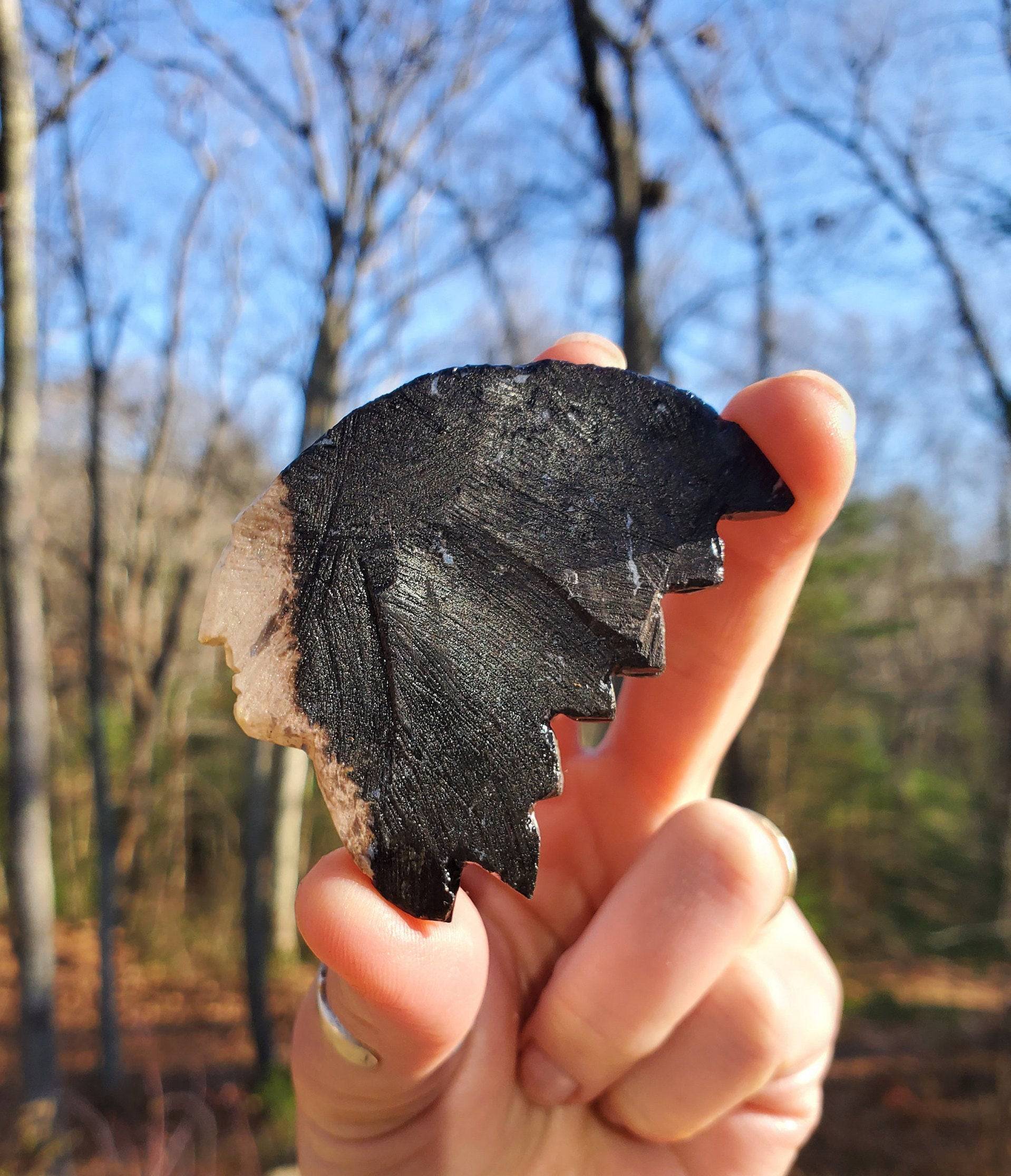 Hand Carved Petrified Wood Chief. Native American Stone Carving. Fossilized Wood. - EarthyElementStudio