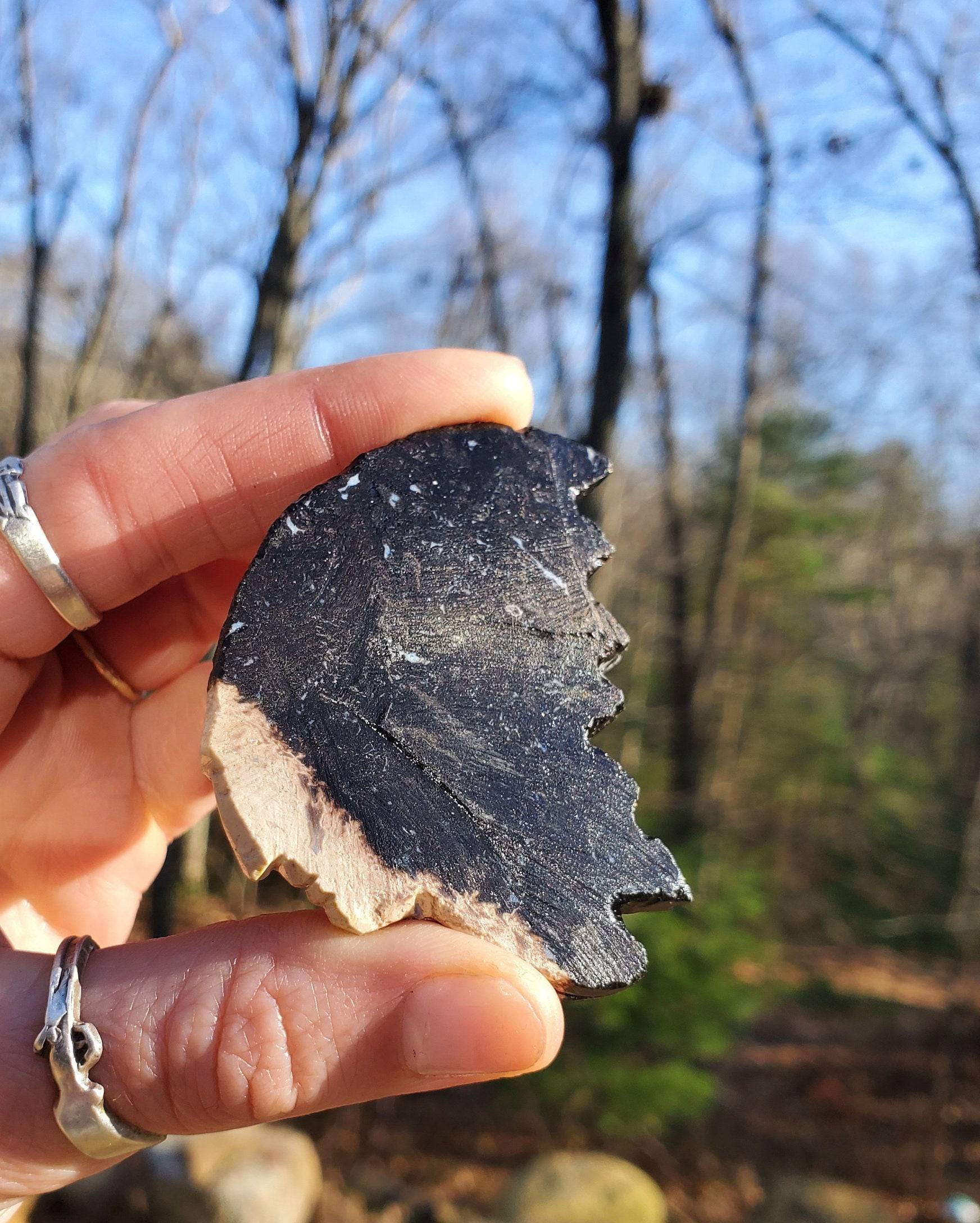 Hand Carved Petrified Wood Chief. Native American Stone Carving. Fossilized Wood. - EarthyElementStudio