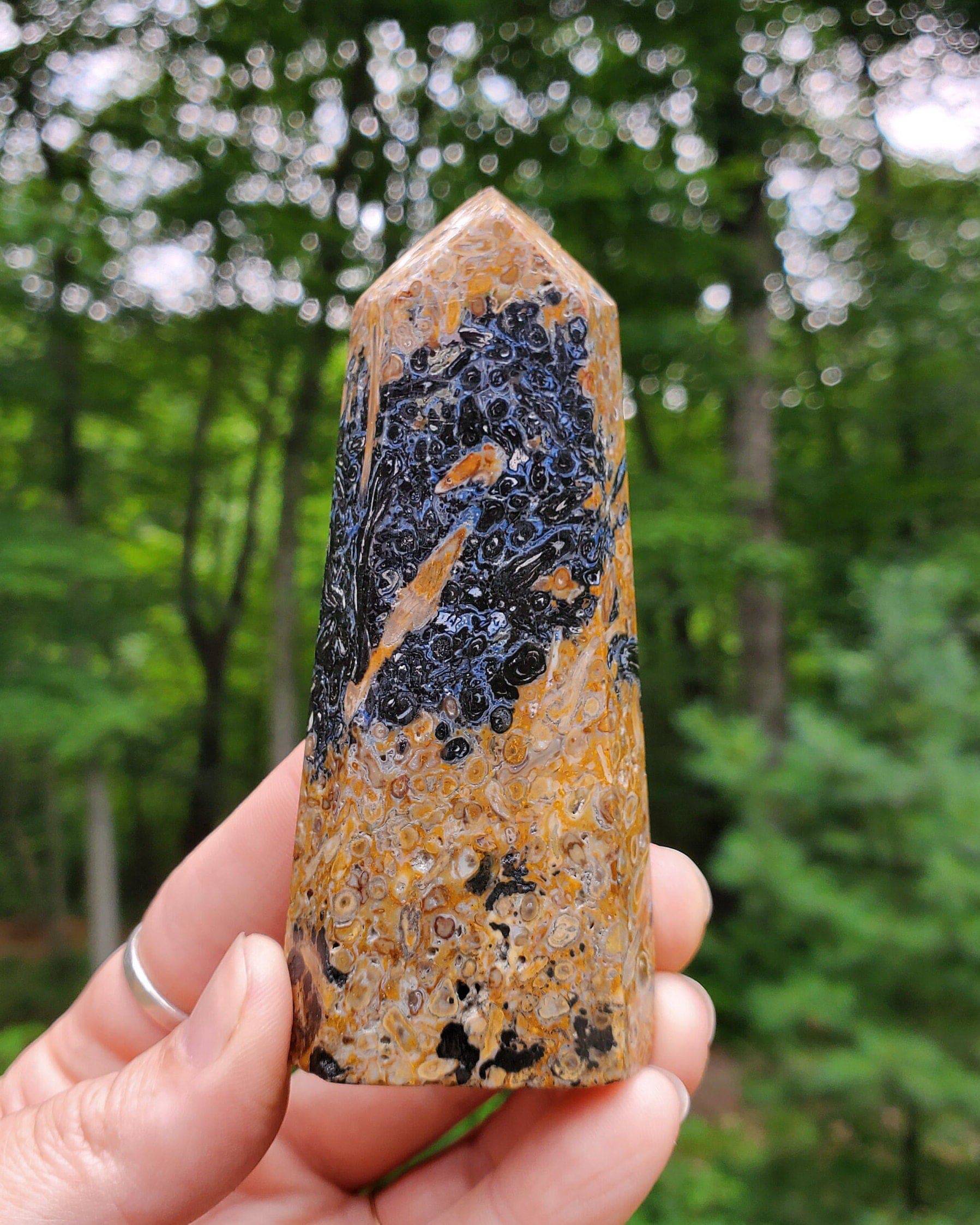 Fossilized Palmroot Tower. Fossilized Wood. Polished Crystal. Natural Black Point. Grounding Stone. - EarthyElementStudio