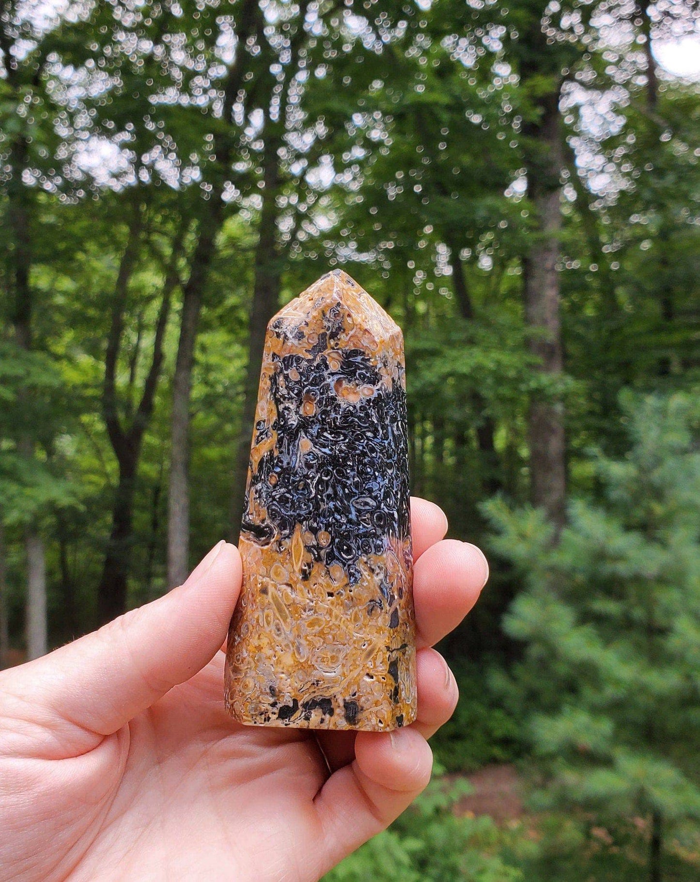 Fossilized Palmroot Tower. Fossilized Wood. Polished Crystal. Natural Black Point. Grounding Stone. - EarthyElementStudio