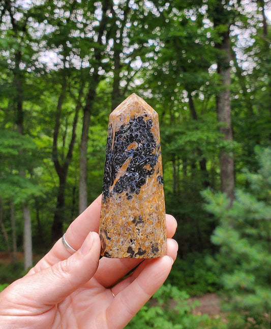Fossilized Palmroot Tower. Fossilized Wood. Polished Crystal. Natural Black Point. Grounding Stone. - EarthyElementStudio