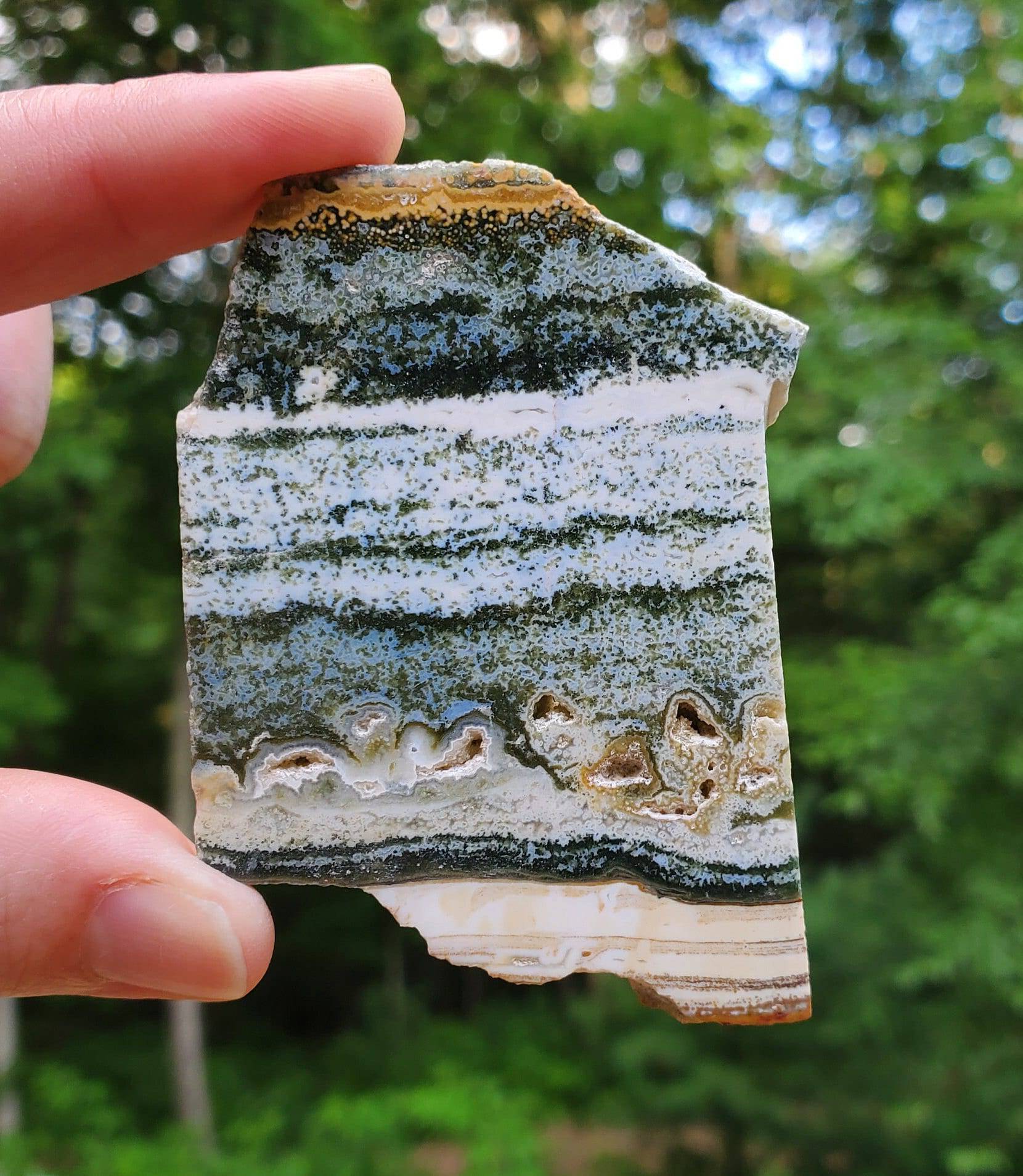 Small Ocean Jasper Slab. Jasper Slice with little druzy pockets. - EarthyElementStudio