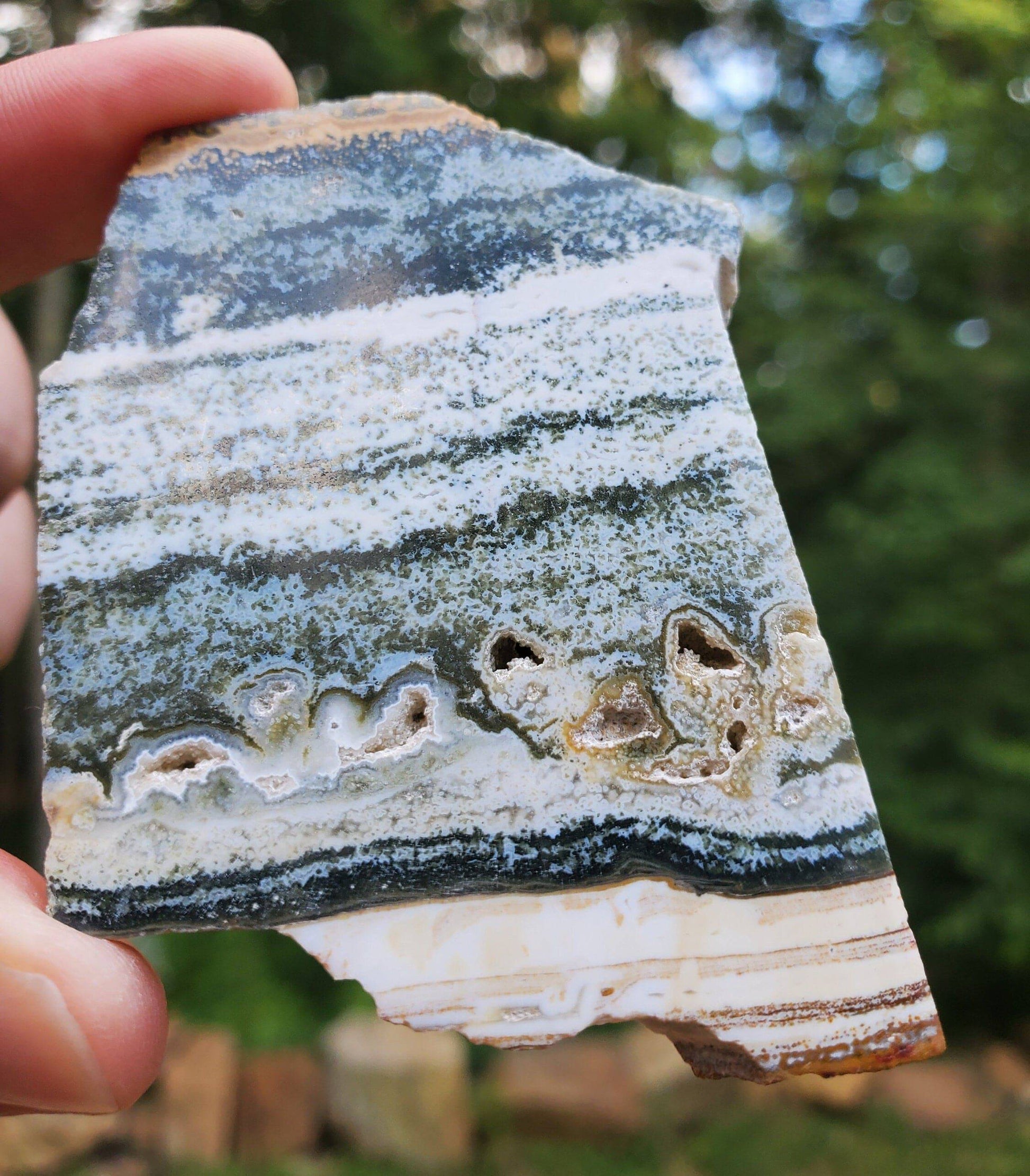 Small Ocean Jasper Slab. Jasper Slice with little druzy pockets. - EarthyElementStudio
