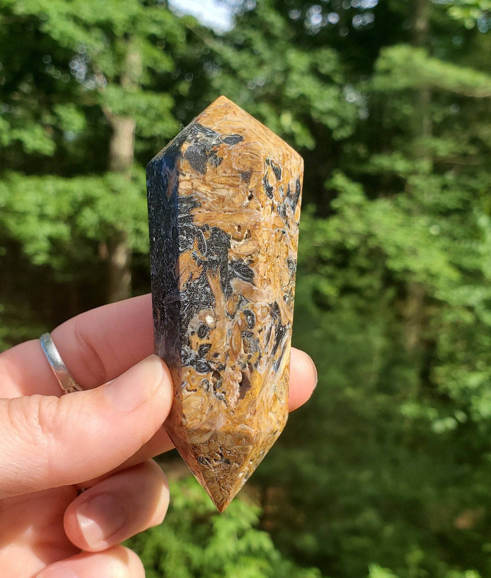 Double Terminated Fossilized Palmroot Wand/ Point. Fossilized Wood. Polished Crystal. Natural Black Point. Grounding Stone. - EarthyElementStudio