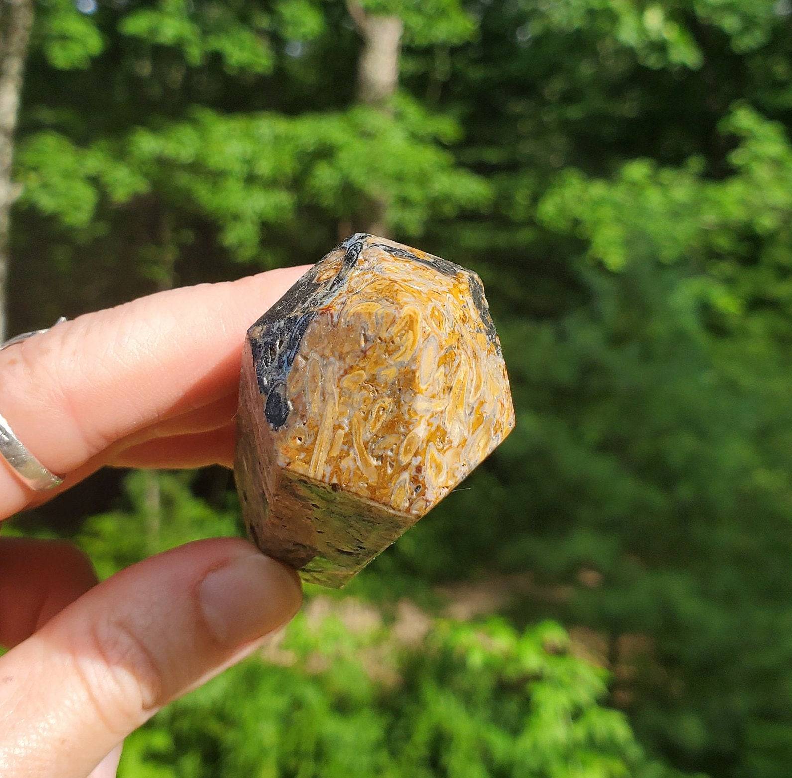 Double Terminated Fossilized Palmroot Wand/ Point. Fossilized Wood. Polished Crystal. Natural Black Point. Grounding Stone. - EarthyElementStudio