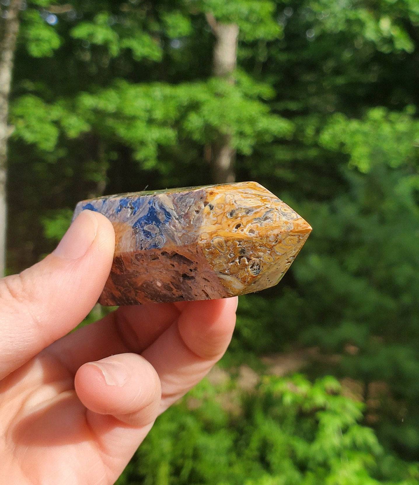Double Terminated Fossilized Palmroot Wand/ Point. Fossilized Wood. Polished Crystal. Natural Black Point. Grounding Stone. - EarthyElementStudio