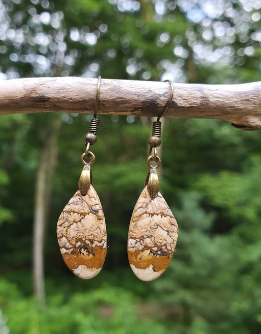 Picture Jasper Earrings. Jasper Jewelry. Antiqued Brass Wire Hooks.