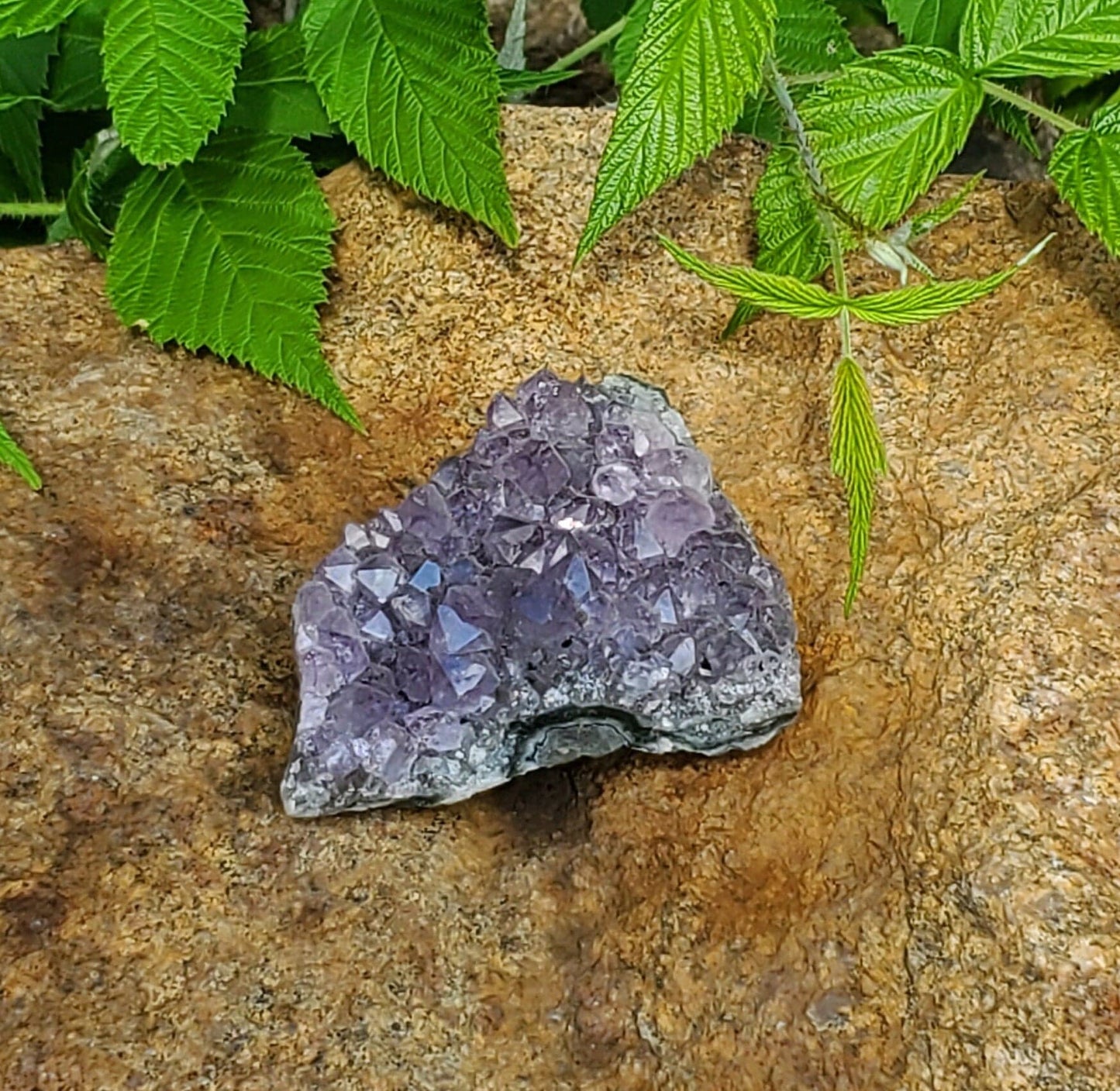 Raw Amethyst Cluster. Quartz Cluster. Purple Crystal. Natural Geode. Protection. Meditation. - EarthyElementStudio