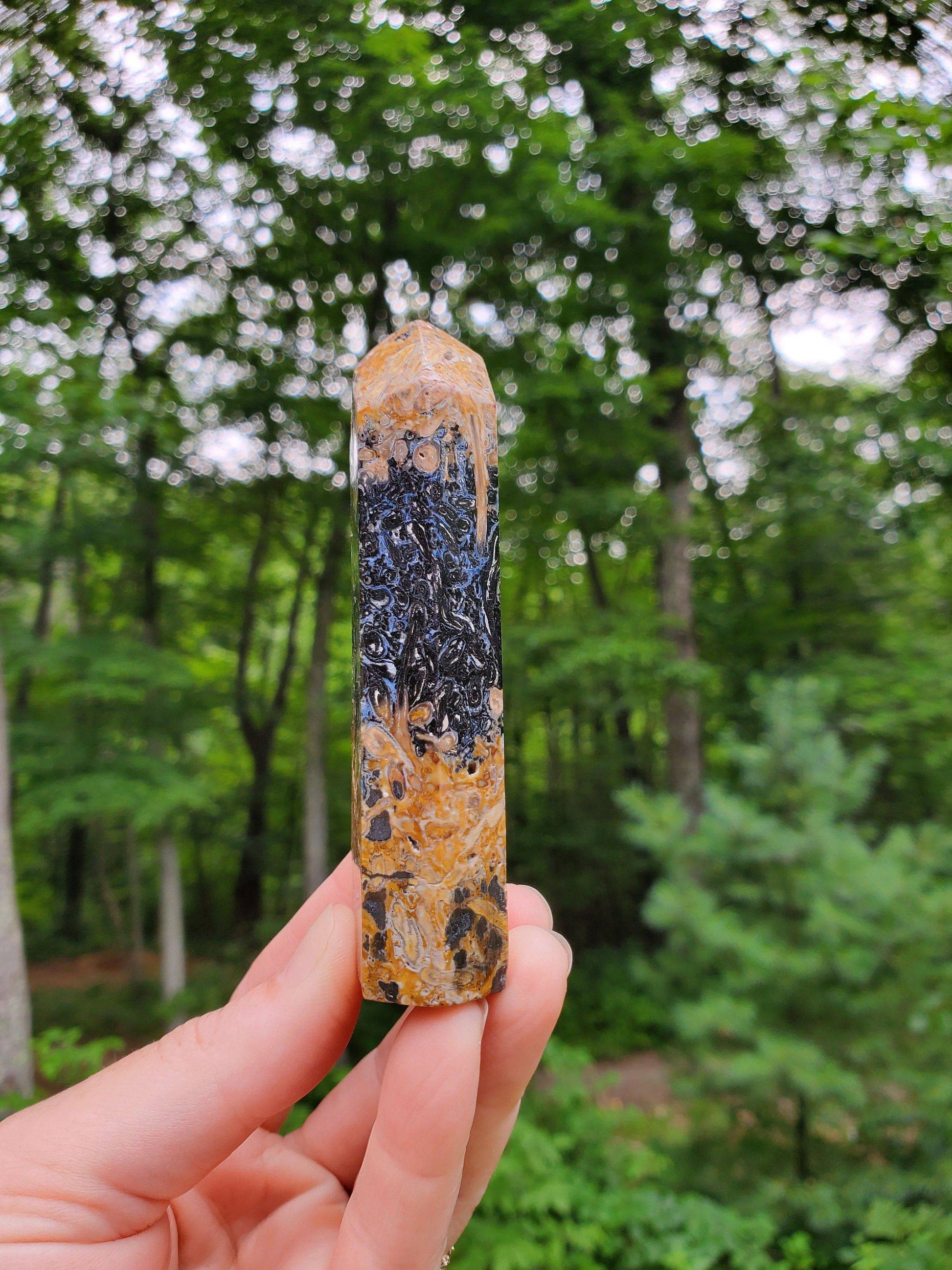 Fossilized Palmroot Tower. Fossilized Wood. Polished Crystal. Natural Black Point. Grounding Stone. - EarthyElementStudio