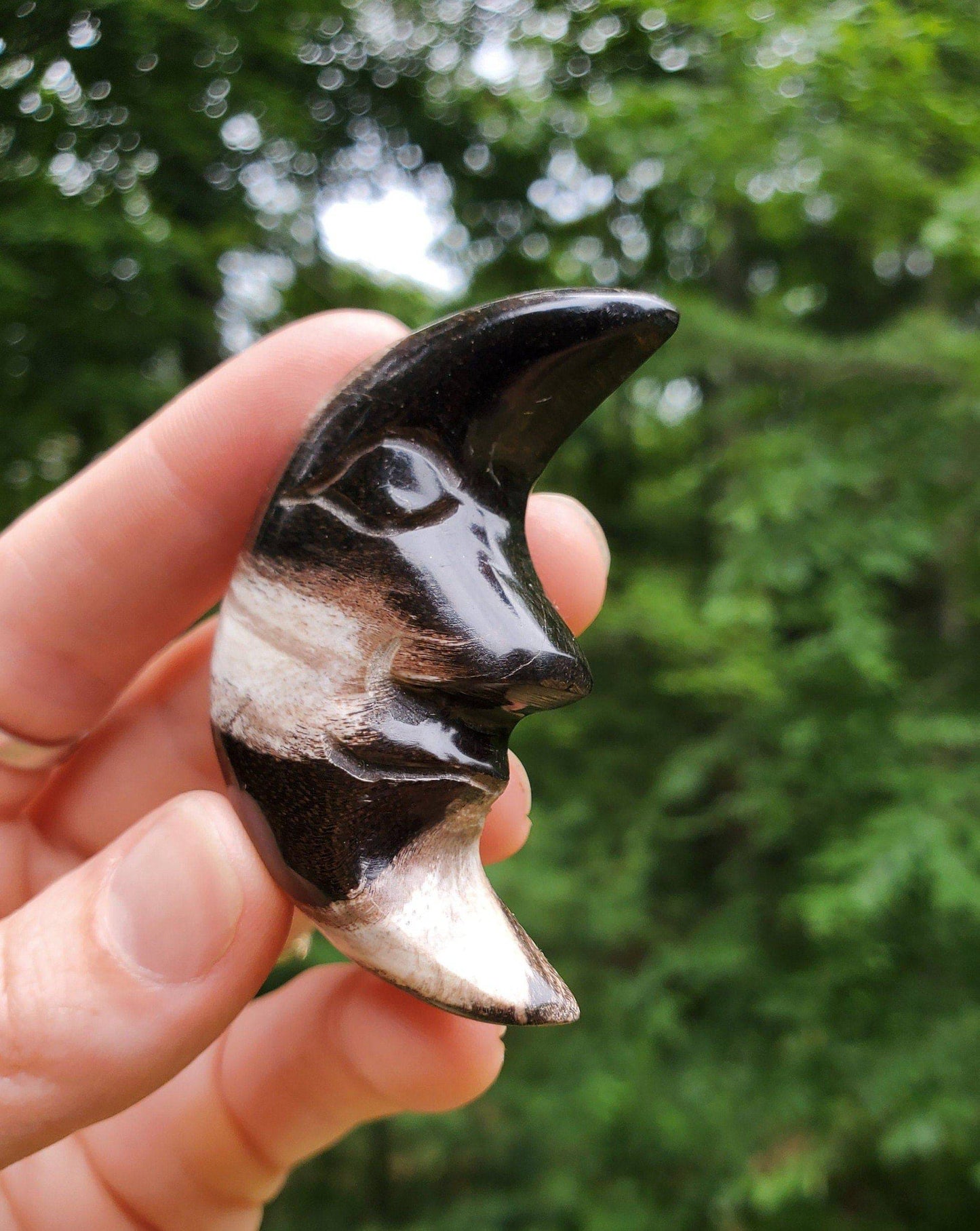 Hand Carved Petrified Wood Moon. Moon with Face. Fossilized Wood. Moon Palmstone. Meditation tool. Wood Carving. - EarthyElementStudio