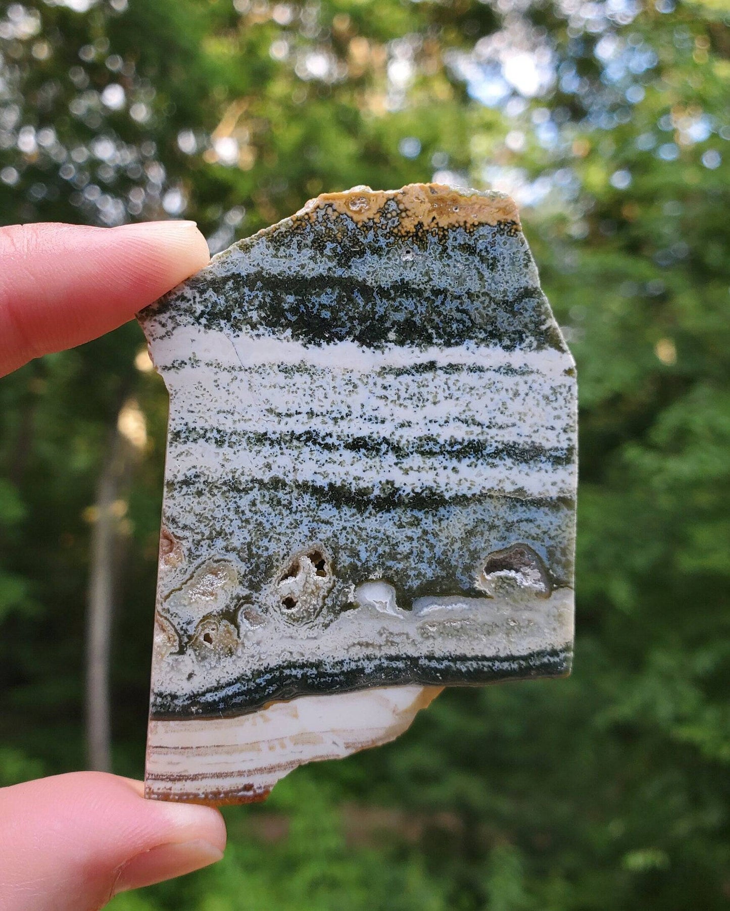 Small Ocean Jasper Slab. Jasper Slice with little druzy pockets. - EarthyElementStudio