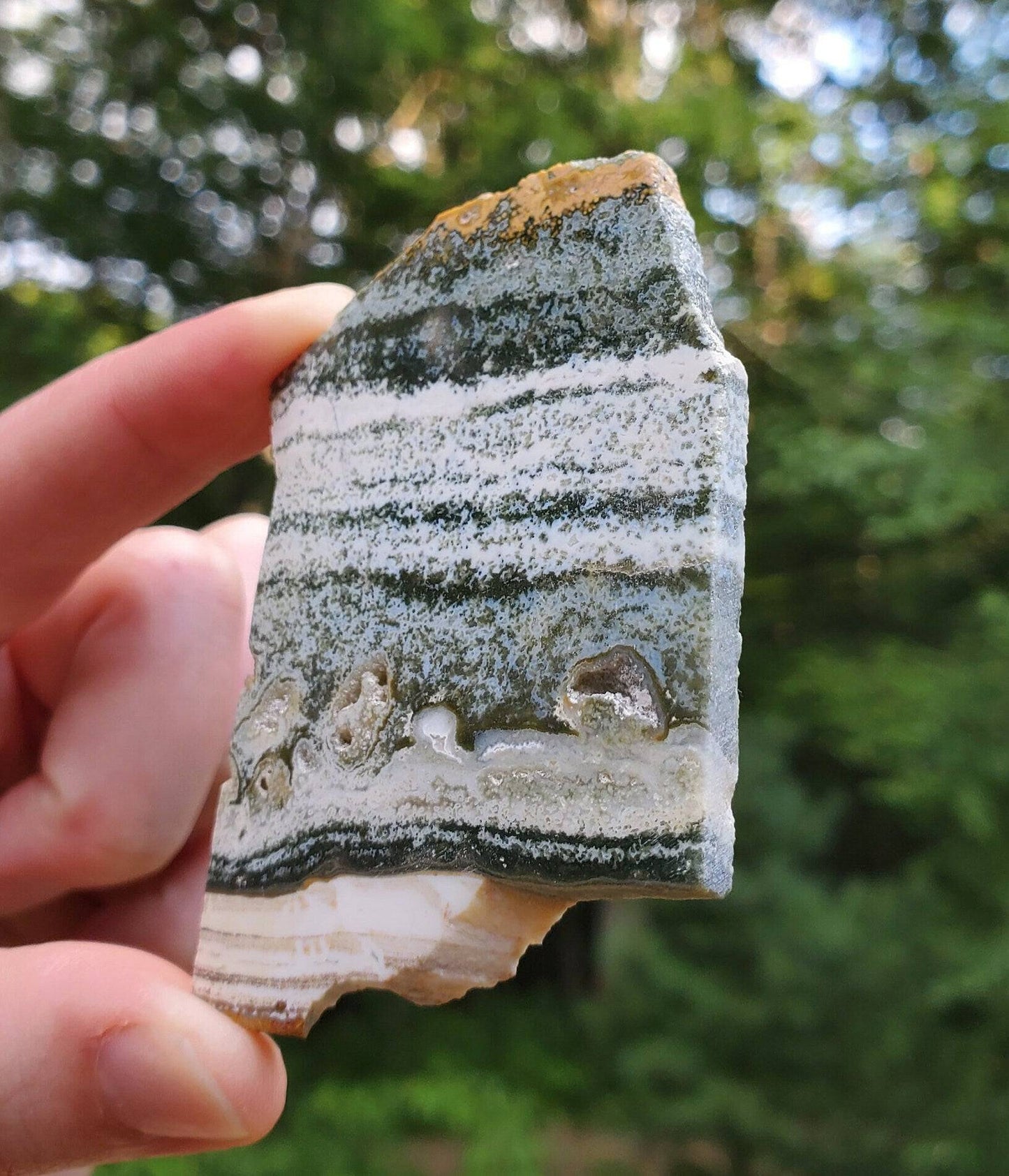 Small Ocean Jasper Slab. Jasper Slice with little druzy pockets. - EarthyElementStudio