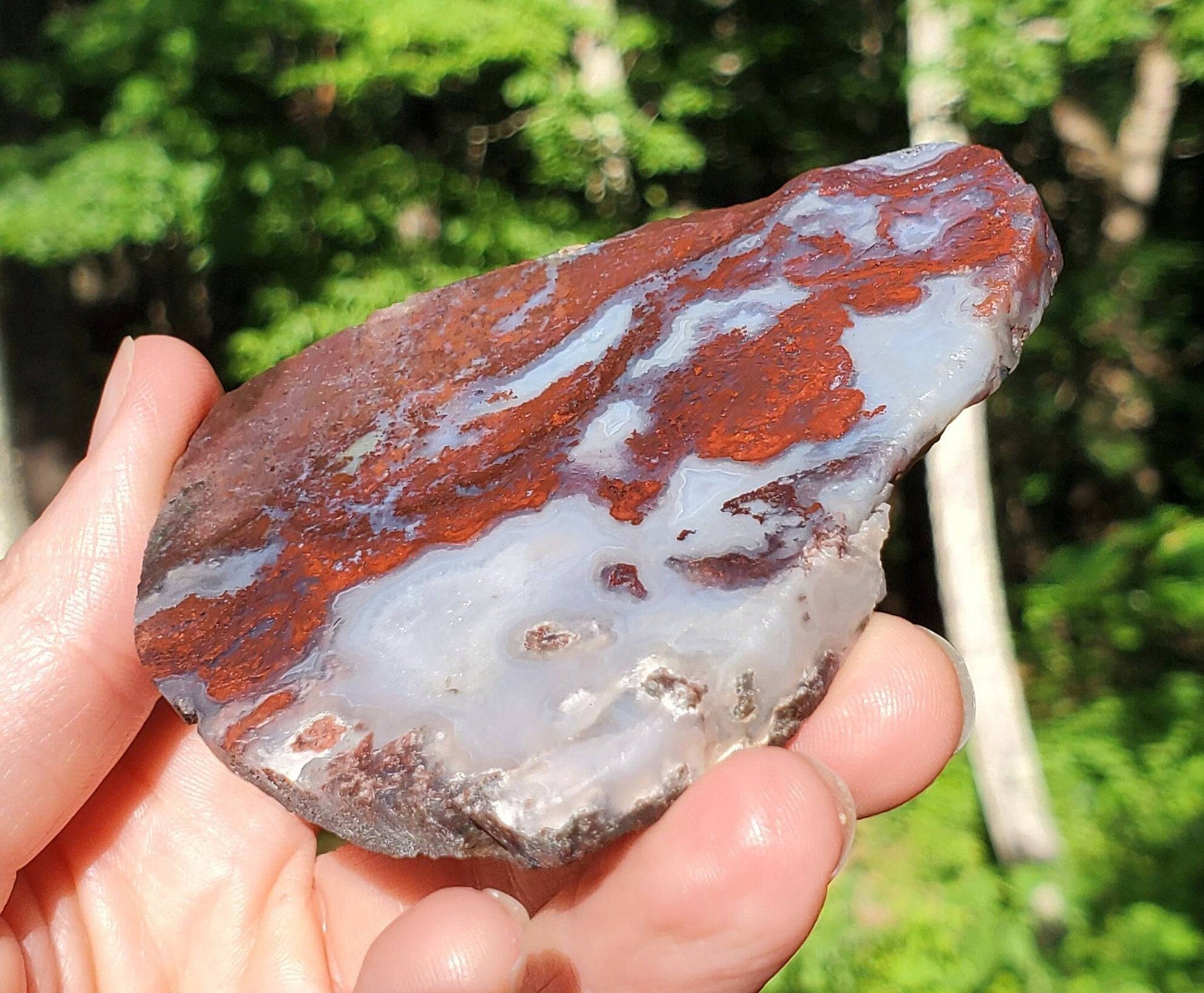 Red Moss Agate Slice. Raw/ UNpolished Slab with Quartz. Red Crystal. - EarthyElementStudio