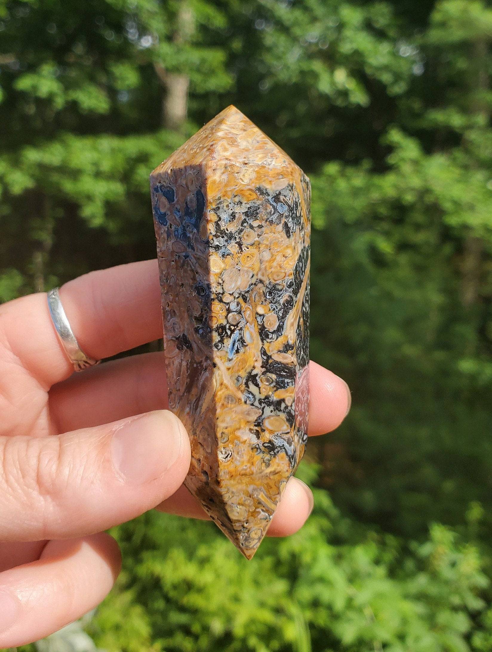 Double Terminated Fossilized Palmroot Wand/ Point. Fossilized Wood. Polished Crystal. Natural Black Point. Grounding Stone. - EarthyElementStudio