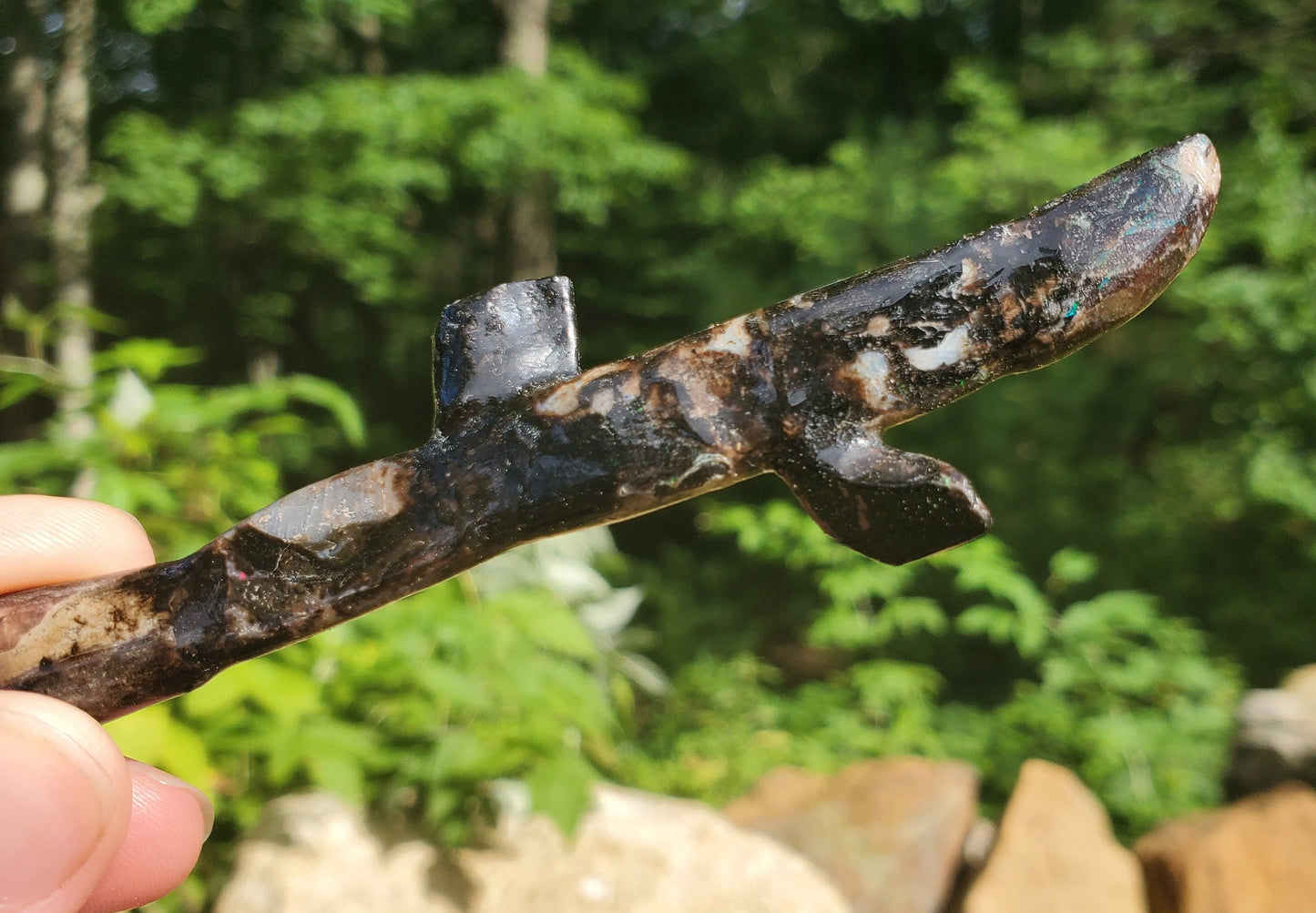 Incredibly Rare  Fossilized, Opalized Branch!! Opalized Wood. Opalized Twig. Precious OPAL. Natural Blue Opal.