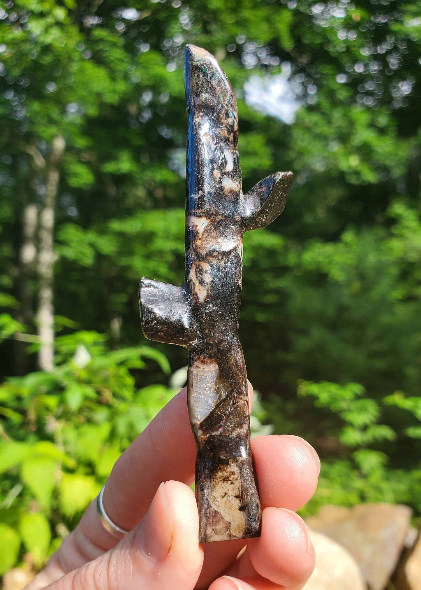 Incredibly Rare  Fossilized, Opalized Branch!! Opalized Wood. Opalized Twig. Precious OPAL. Natural Blue Opal.