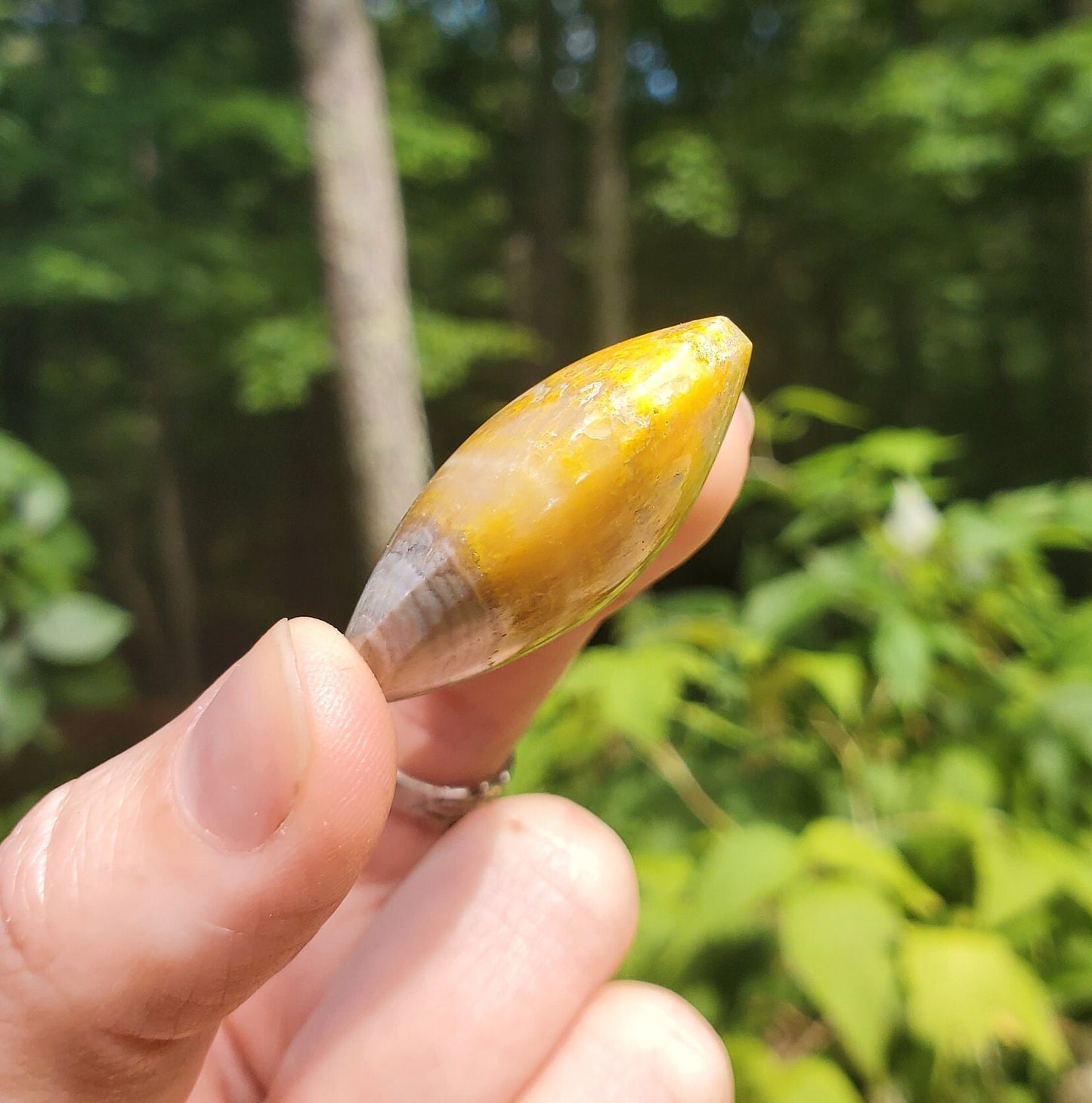 Beautiful Bumblebee Jasper Heart. Palm Stone. Yellow Jasper. Indonesian.