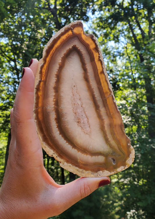 Beautiful REPAIRED Agate Slab. Agate Display Slice. Meditation tool. Natural Crystal Decor.