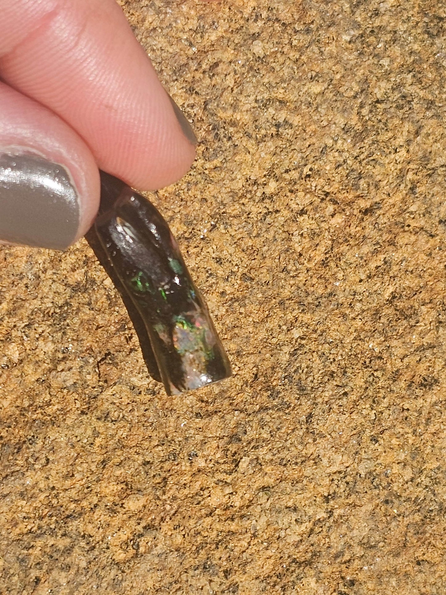 Opalized Petrified Branch PIECE. - EarthyElementStudio