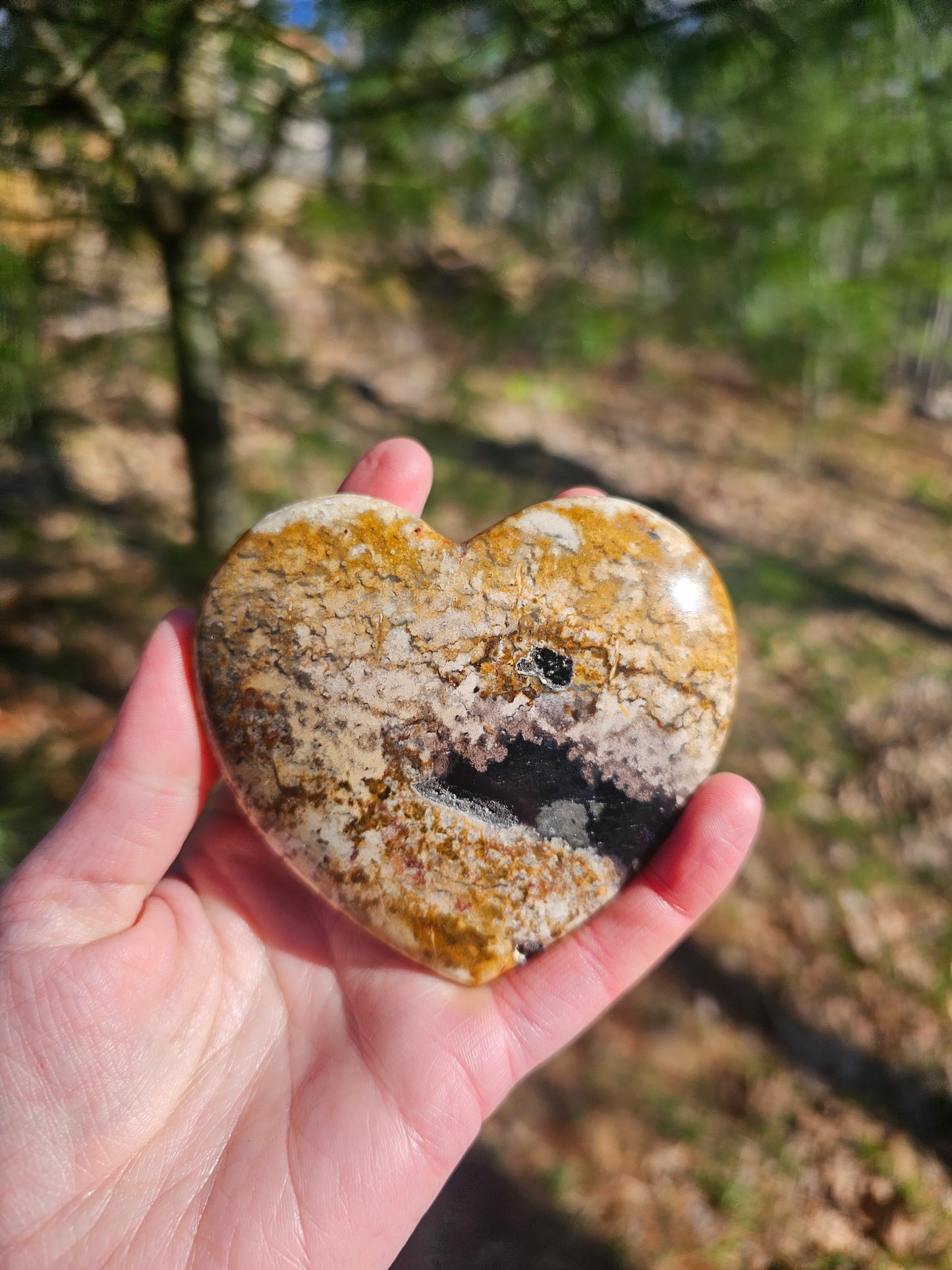 Large Petrified Wood Heart. Crystal home decor - EarthyElementStudio
