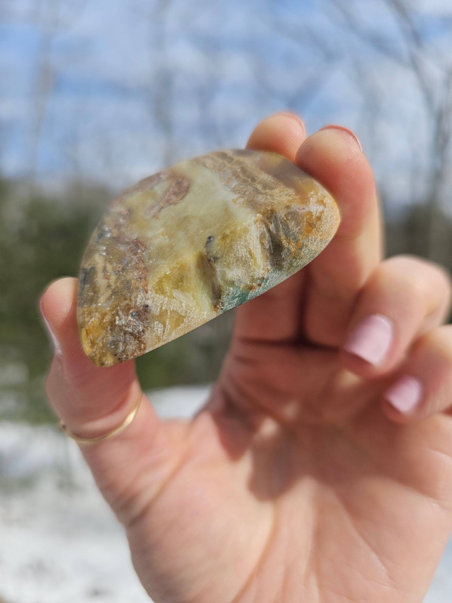 Blue Opalized Petrified Wood Slice. - EarthyElementStudio