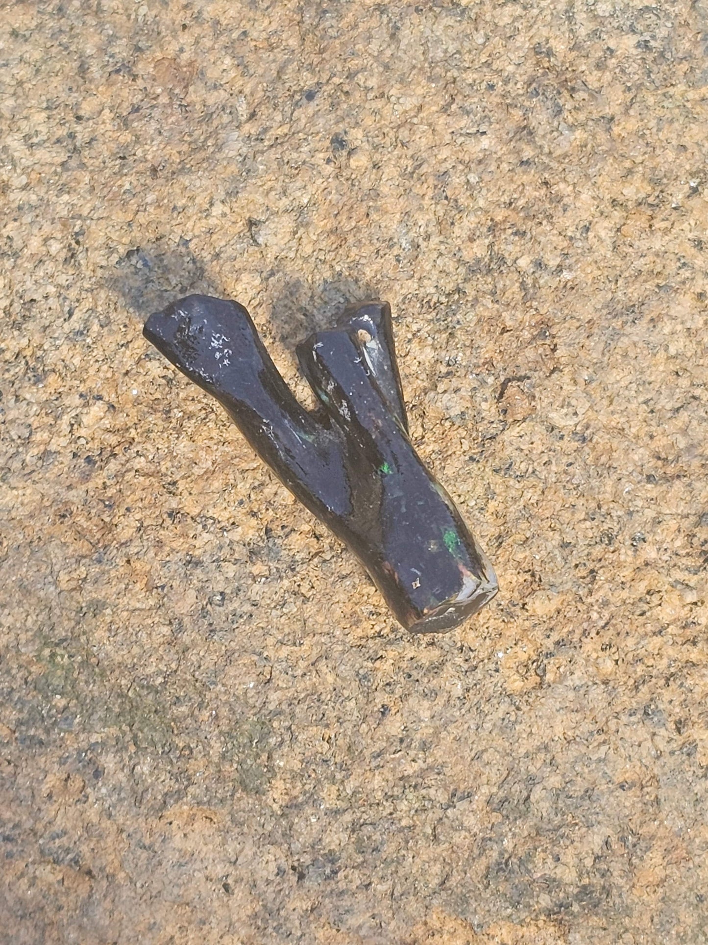 Opalized Petrified Branch PIECE. - EarthyElementStudio