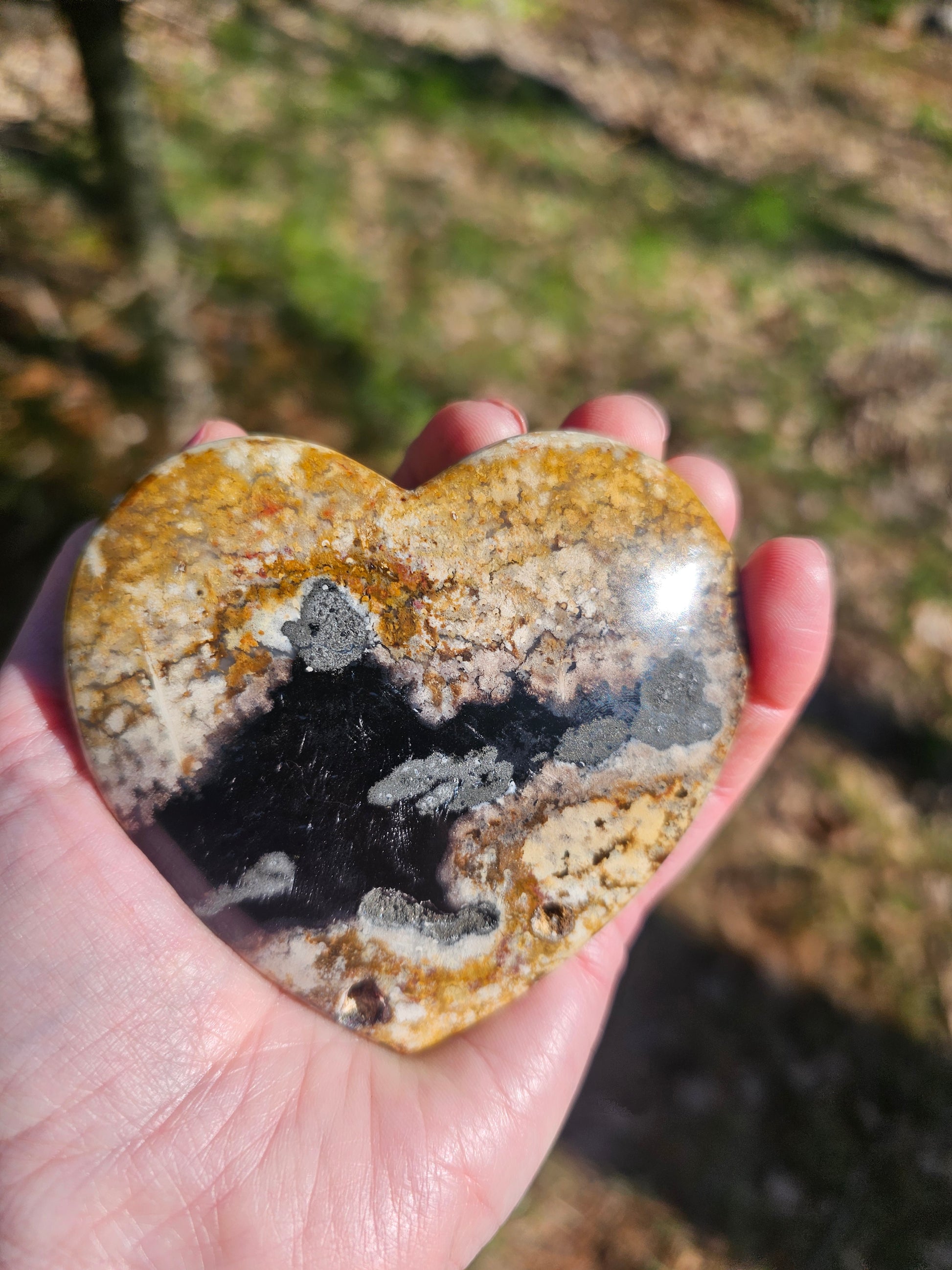 Large Petrified Wood Heart. Crystal home decor - EarthyElementStudio