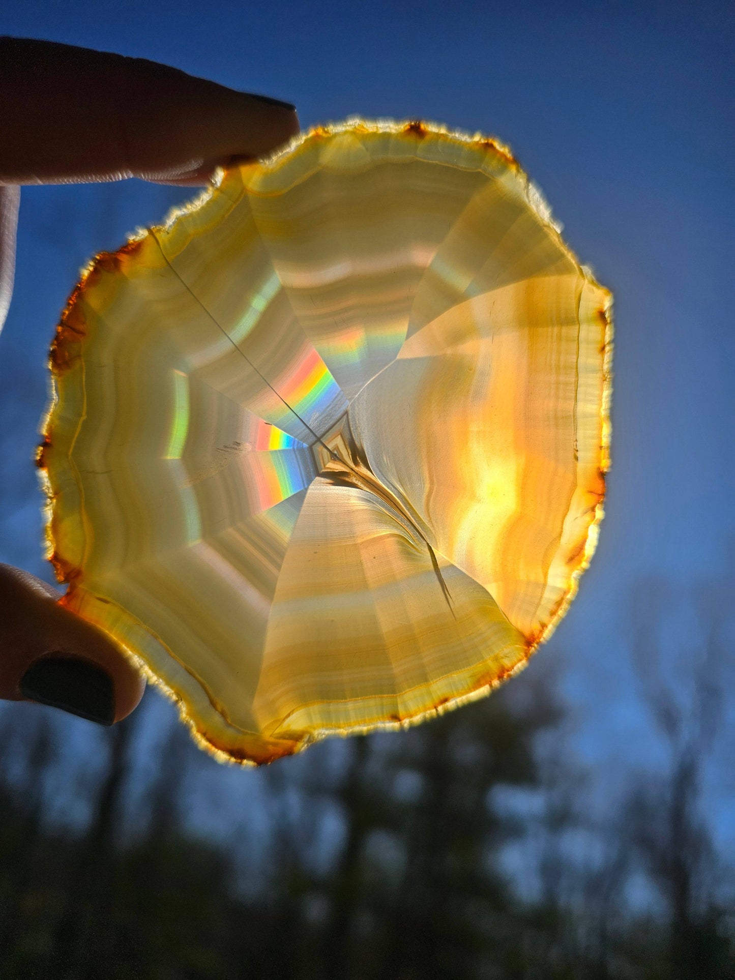 Gorgeous Dark Iris Agate slice - EarthyElementStudio