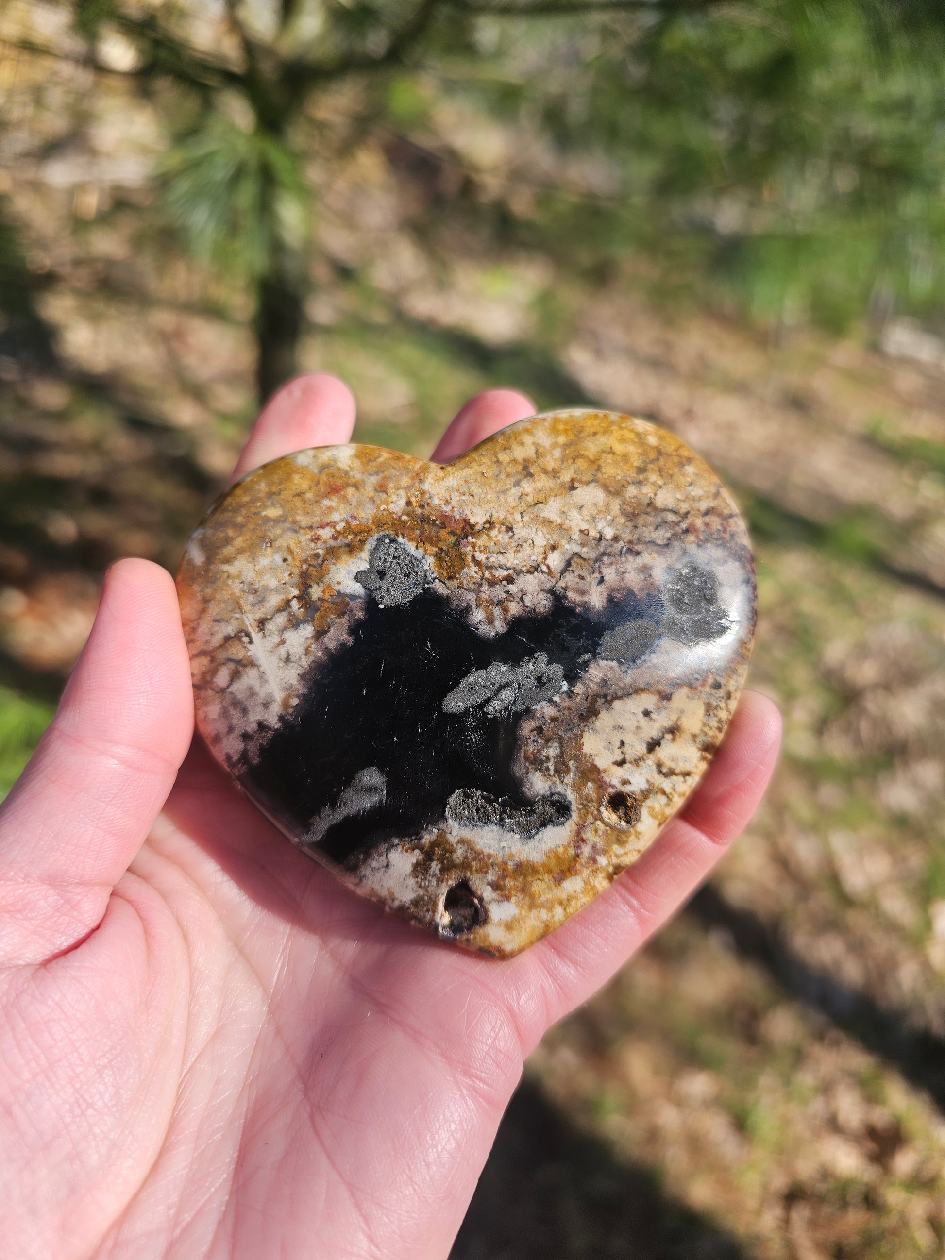 Large Petrified Wood Heart. Crystal home decor - EarthyElementStudio