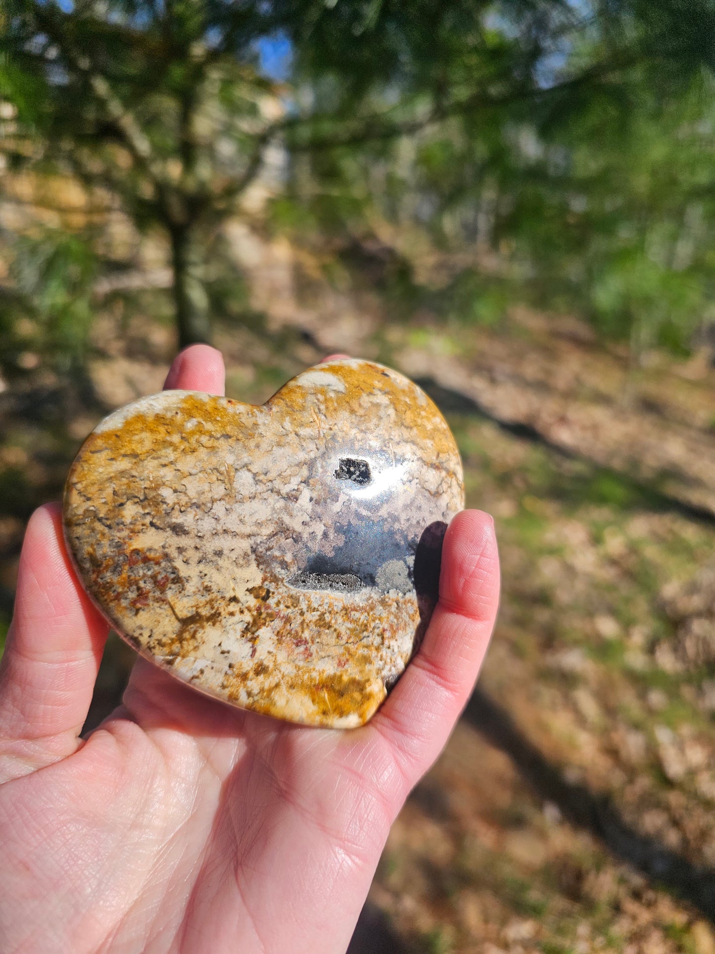 Large Petrified Wood Heart. Crystal home decor - EarthyElementStudio