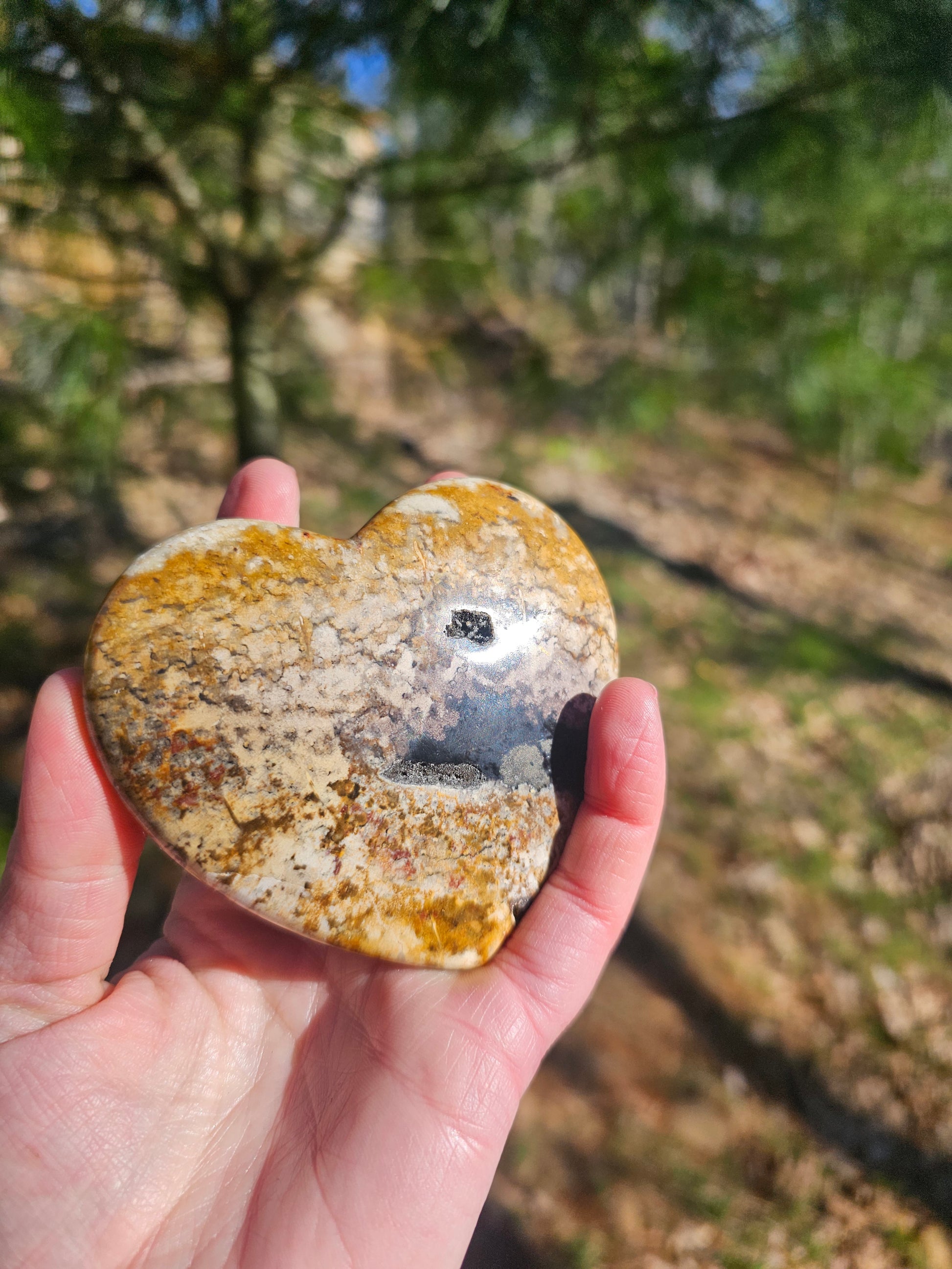 Large Petrified Wood Heart. Crystal home decor - EarthyElementStudio